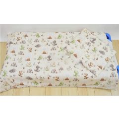  Škôlkarská súprava posteľnej bielizne – s motívom dinosaura